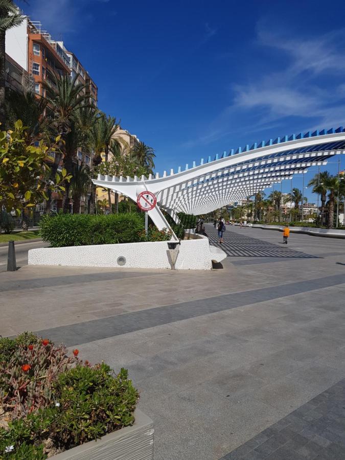 Apartament Carmen Τορεβιέχα Εξωτερικό φωτογραφία