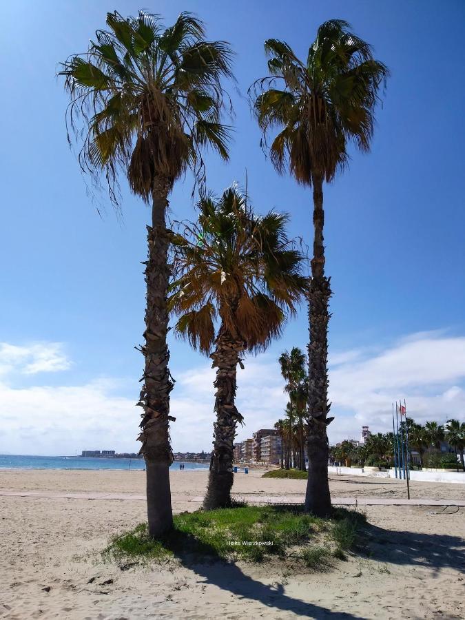 Apartament Carmen Τορεβιέχα Εξωτερικό φωτογραφία
